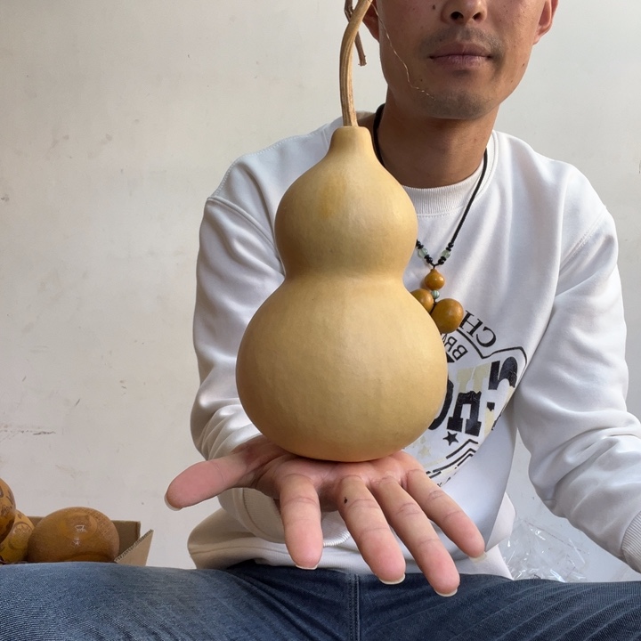 @***飞塑料葫芦7778887655677766666