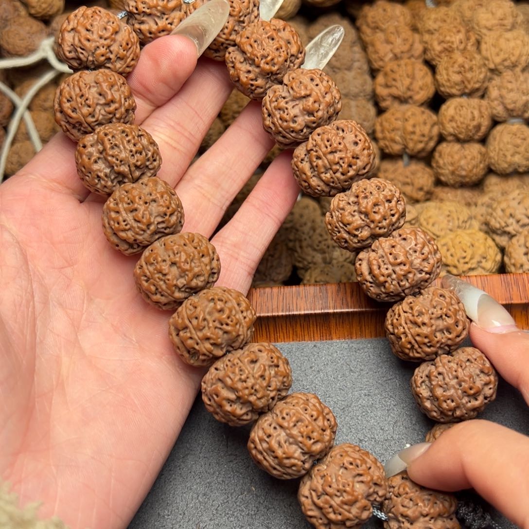 菩提6号尼泊尔大金刚22.5安娜梅花头货