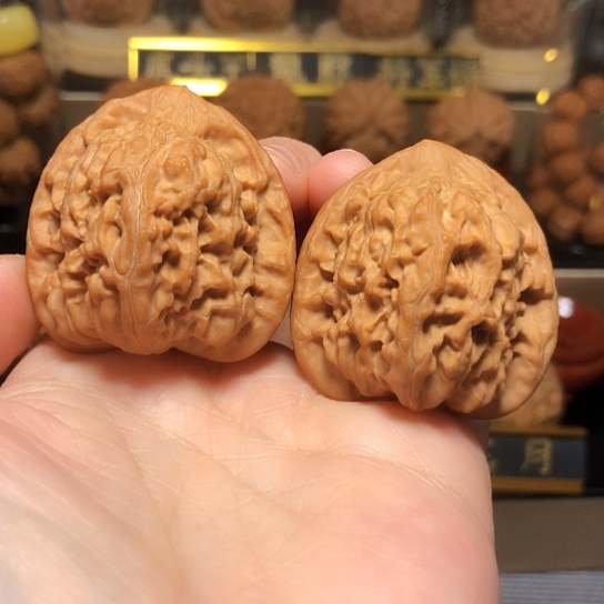 精品原桩红狮子全品