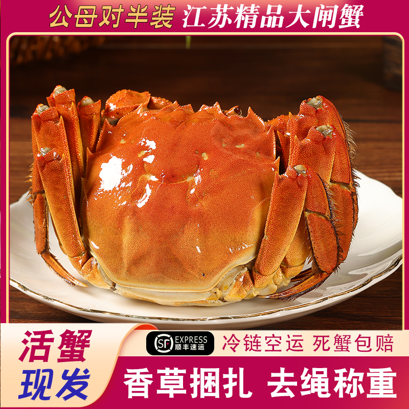 【江苏活蟹】大闸蟹 公(4.5-4.2两)母(3.8-3.5两) 6-10只 顺丰包邮K