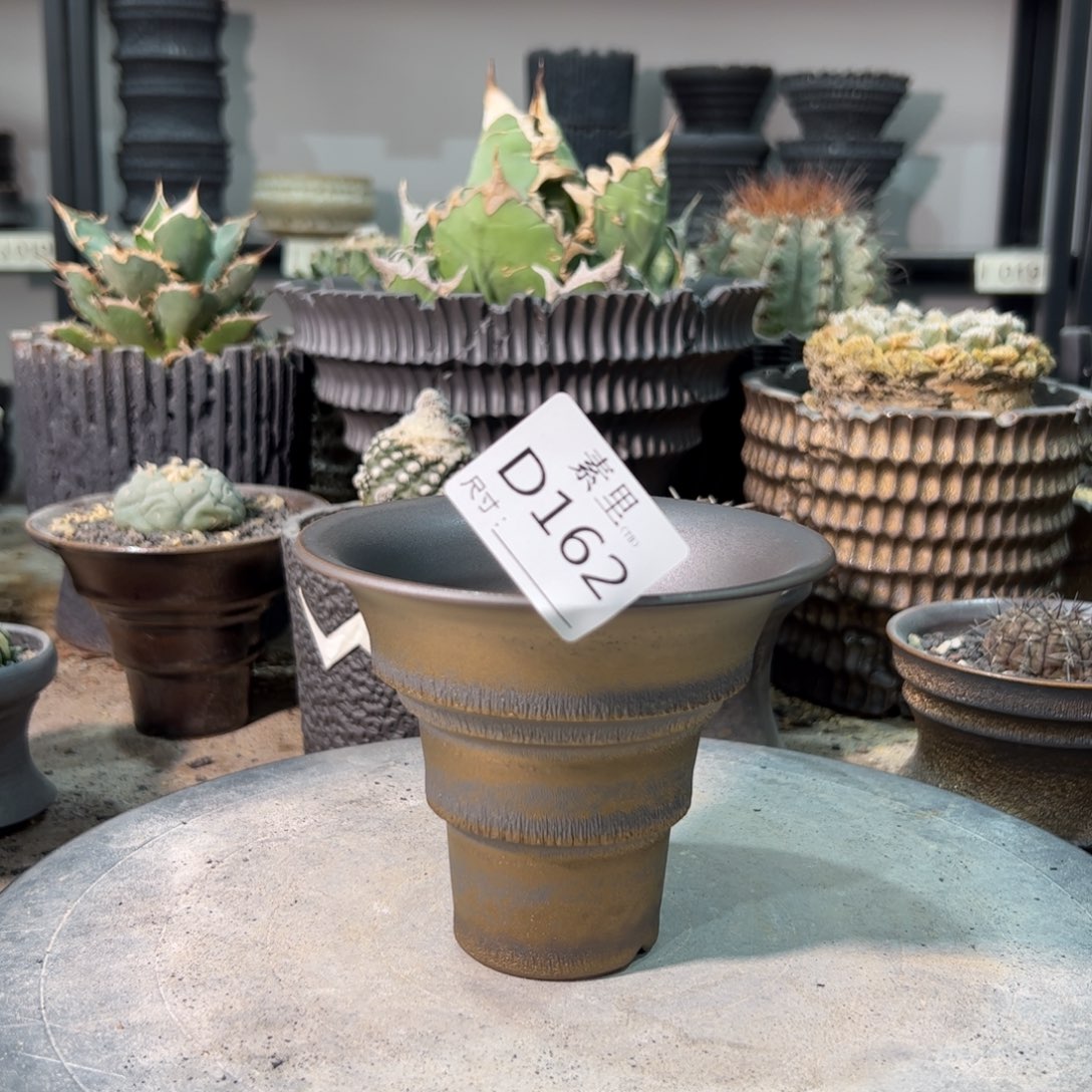 景德镇素里手工内口12高10