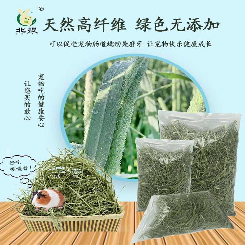 提摩西草兔子吃的磨牙草半烘干甘肃优质北提小宠豚鼠提草