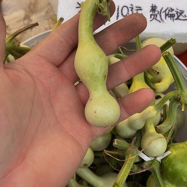 靠**光快看看哈来就坎坎坷坷看功夫