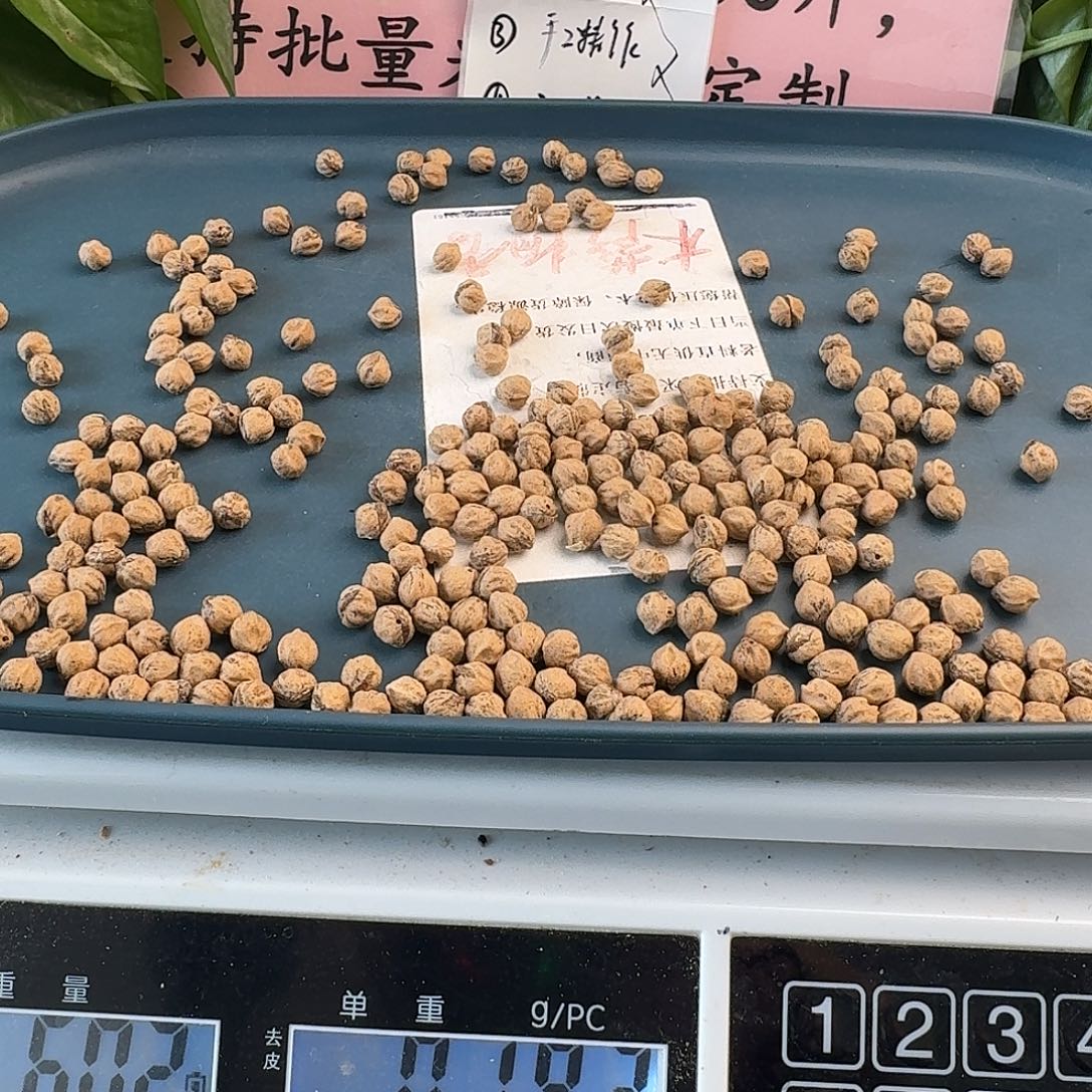 柏香籽/百香籽吊坠60克7+HY005