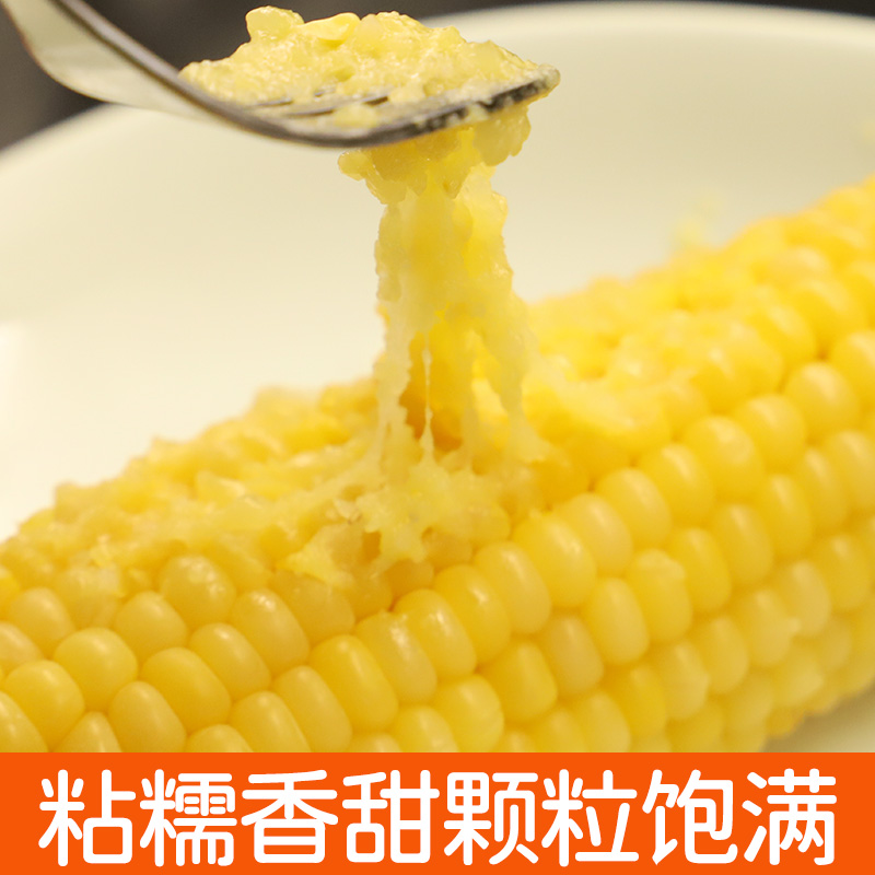【成本21.7】2025年新玉米带叶加工辉南非转基因甜糯玉米220g*8穗