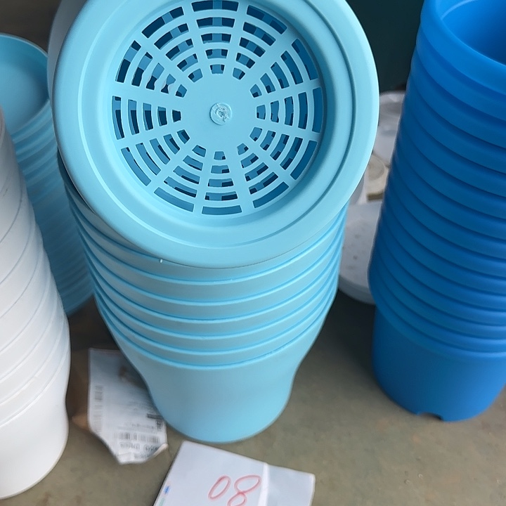 编号是08号的08号的