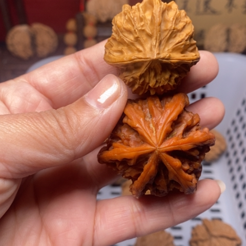 萧***弑文玩核桃把件核桃