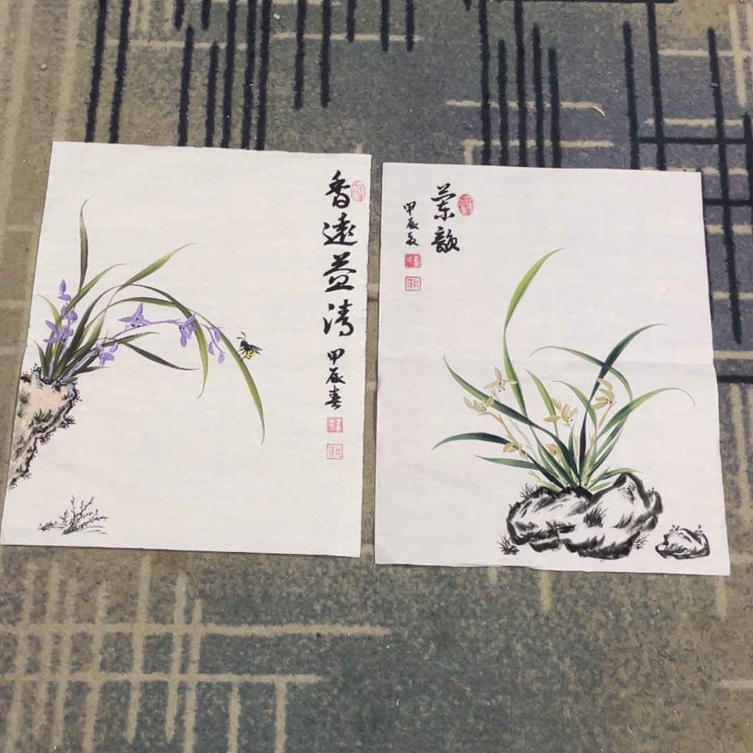 国画46x35尺寸作品花鸟11111