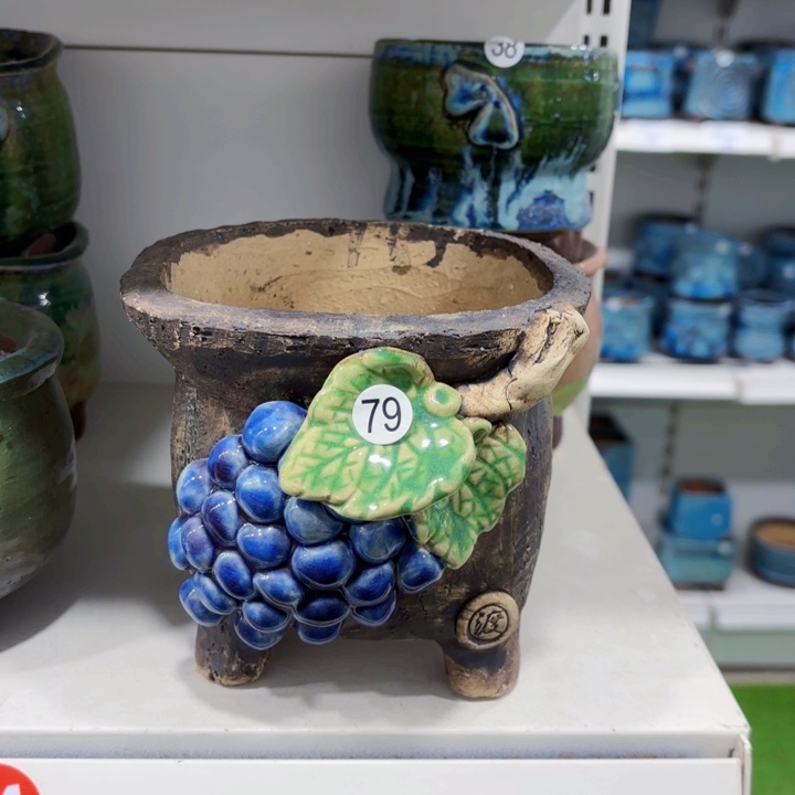 红陶内敛的人是不