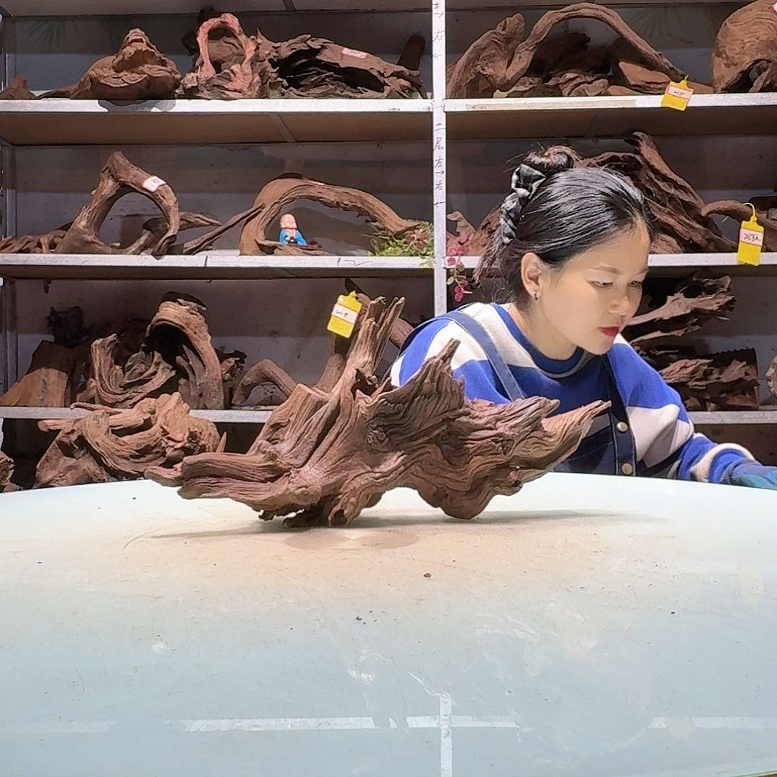 倍褚沉木不包损必褪色于**এ6546