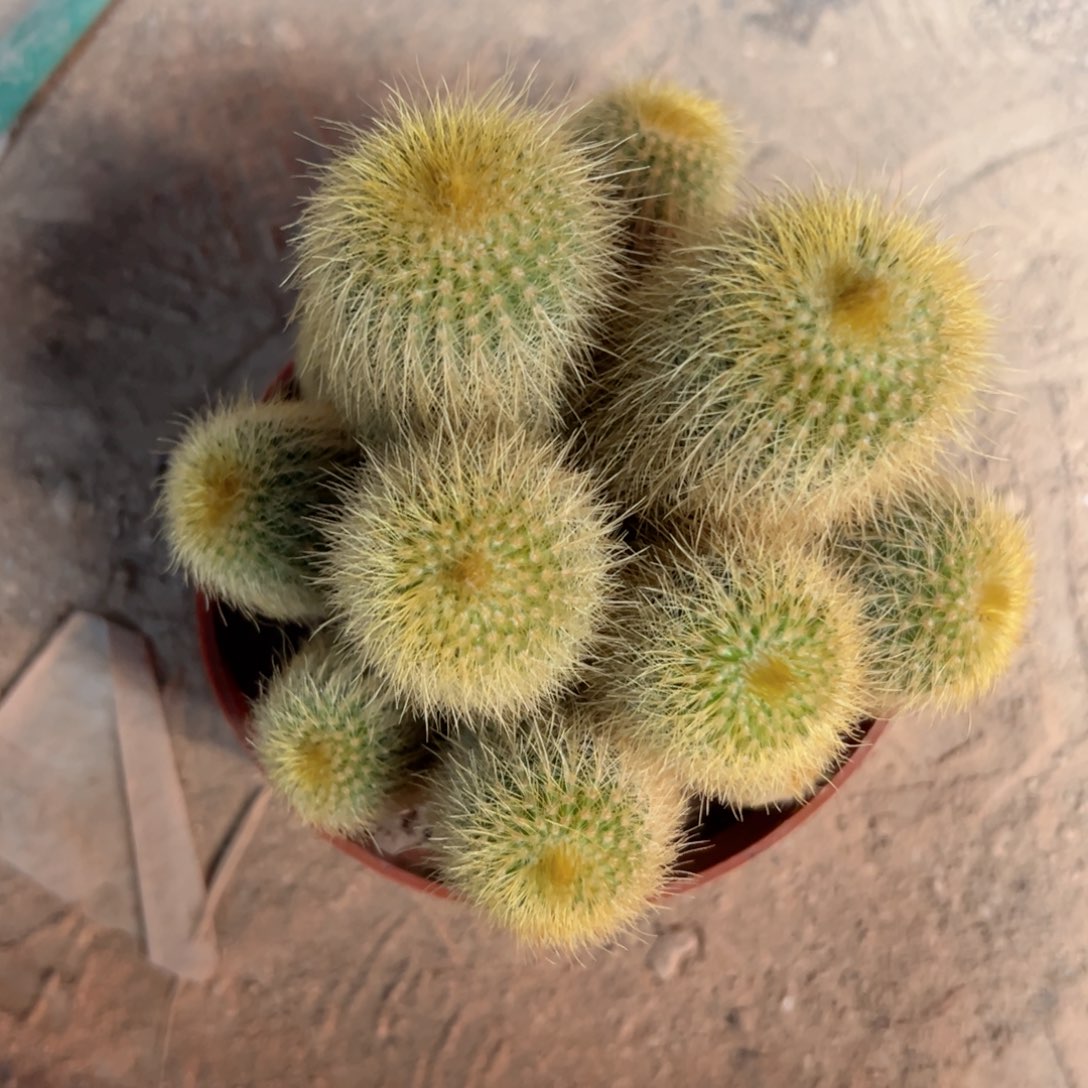 奔***狒和爆胎女巫的一起发货