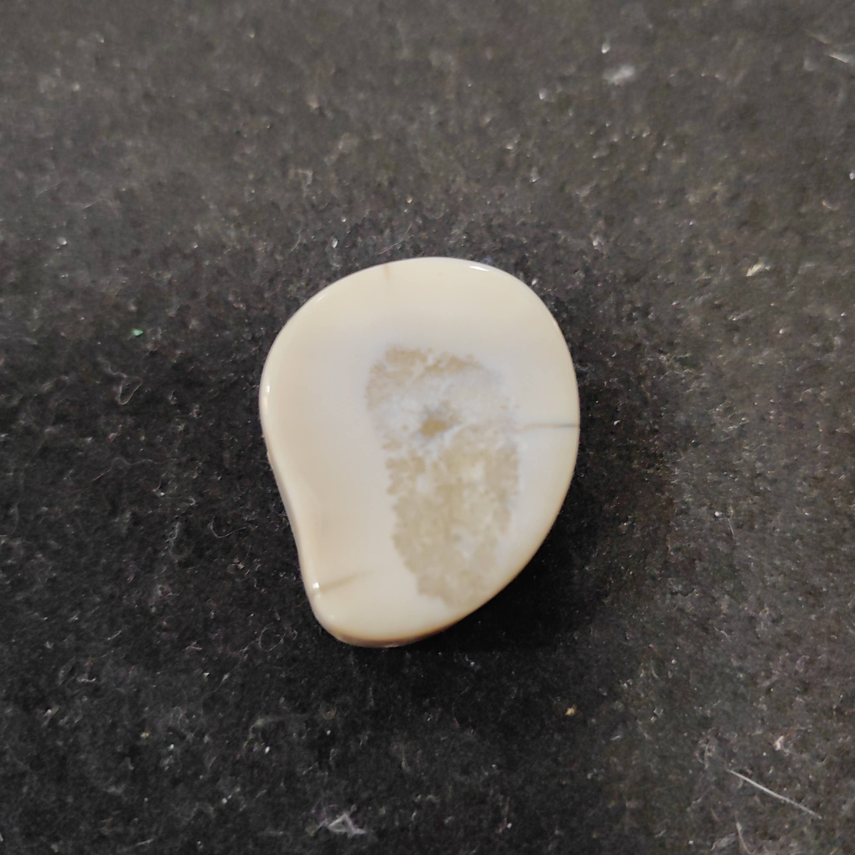 猛犸秋猛犸饼子GG259