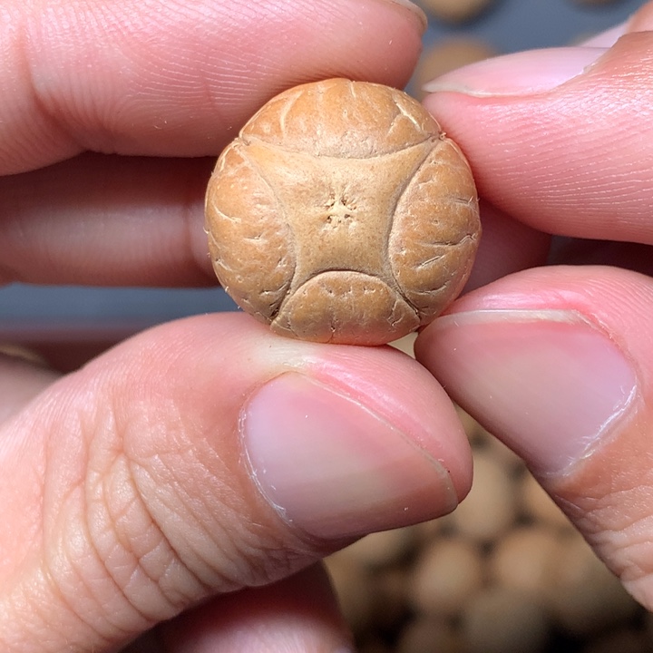 凤眼菩提吊坠天**间18mm尼泊尔麒麟三通