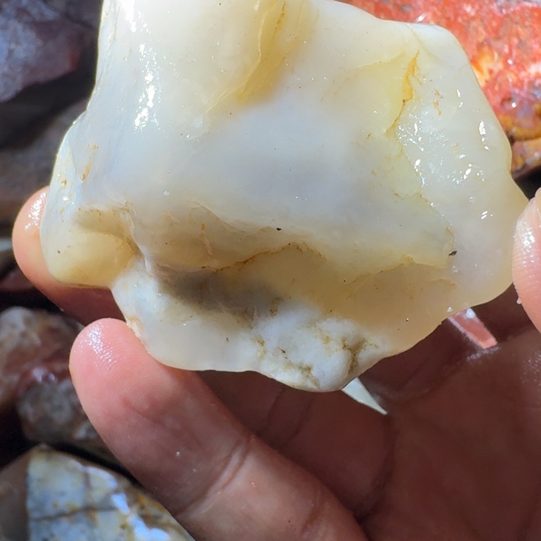 东***学寿山石899999998988