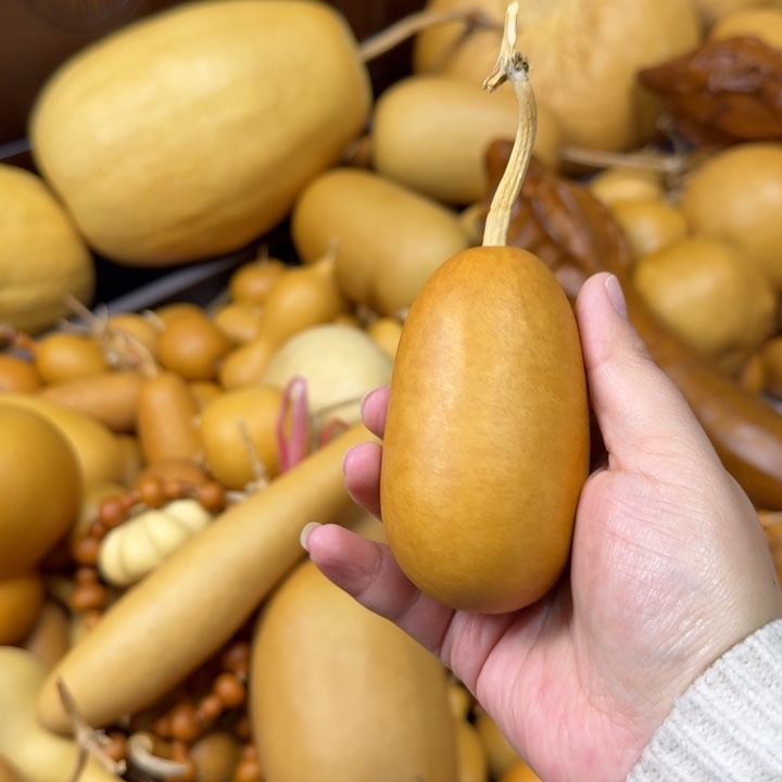 上****竹类手把冬瓜葫芦