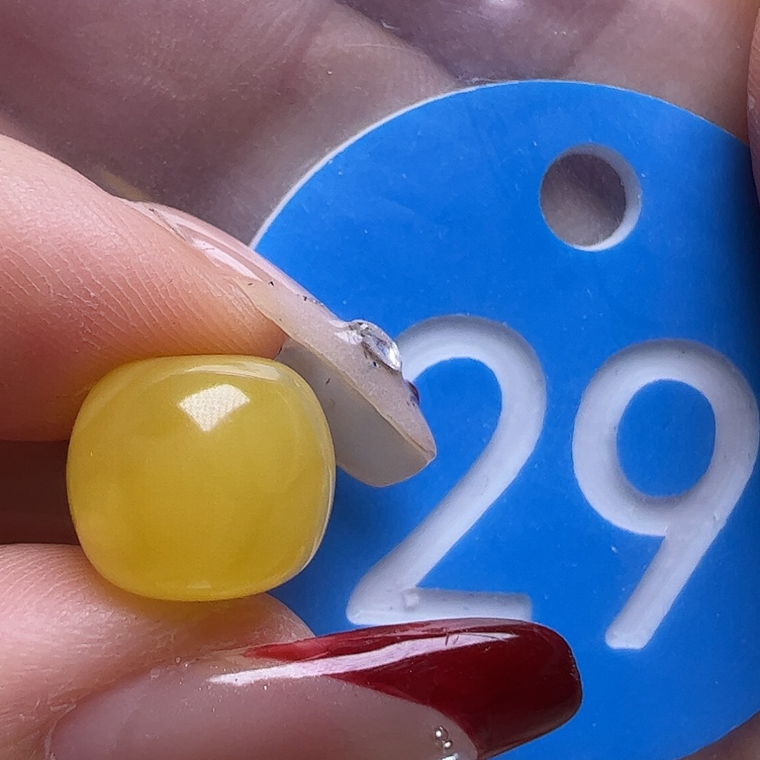 蜜蜡未镶嵌珠宝奇石10.2mm鸡油黄老型