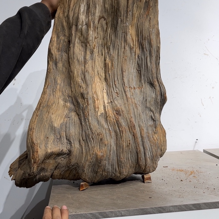 凝***空柏木崖柏等自然资源和生态资源丰富多彩