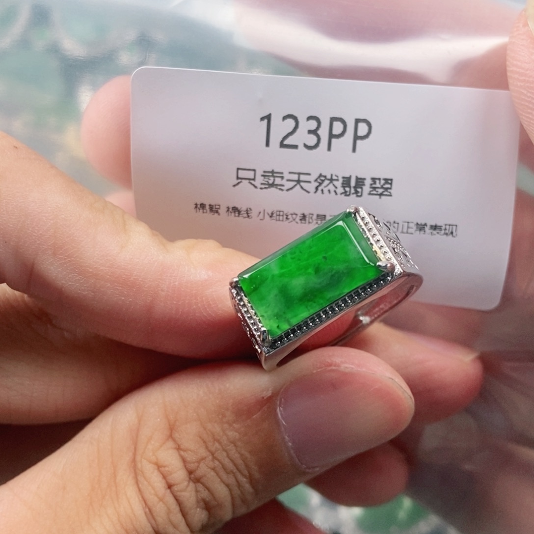 【闪购商品】颈饰未镶嵌翡翠