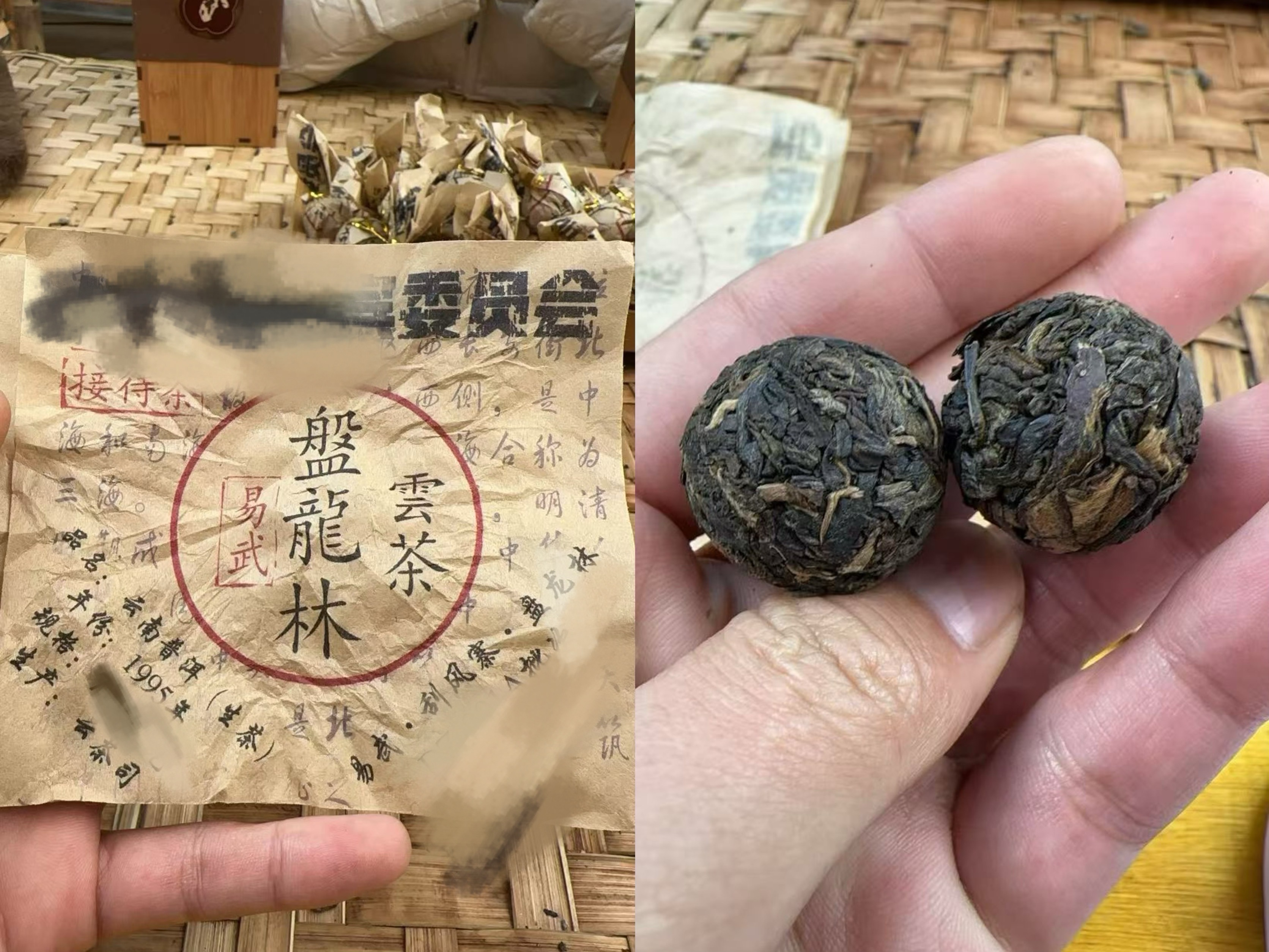 （阿鹏甄选)1995年盘龙林 生茶 青珠（46号）12月27号