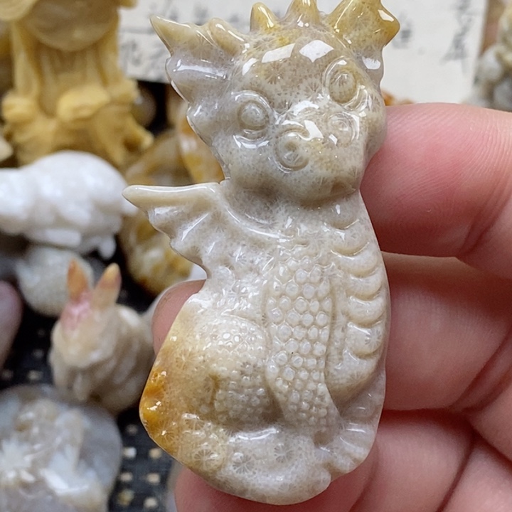 颈饰未镶嵌硅化珊瑚（珊瑚玉）