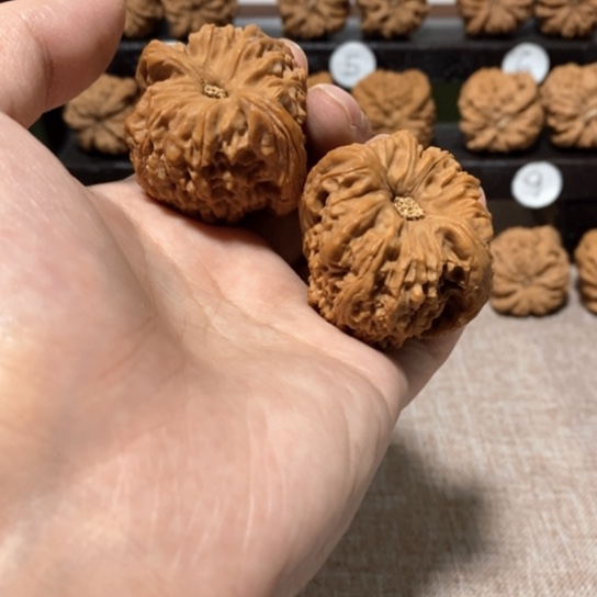 文玩核桃把件李*今天