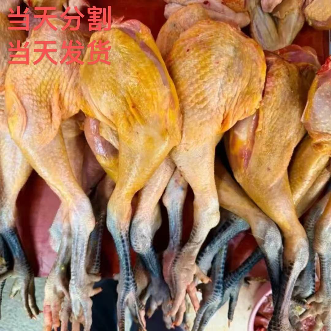 【小邵1】拍6个黑爪土鸡腿送6个全翅到手12个顺丰包邮 新鲜分割急冻锁鲜  包冰率不含冰