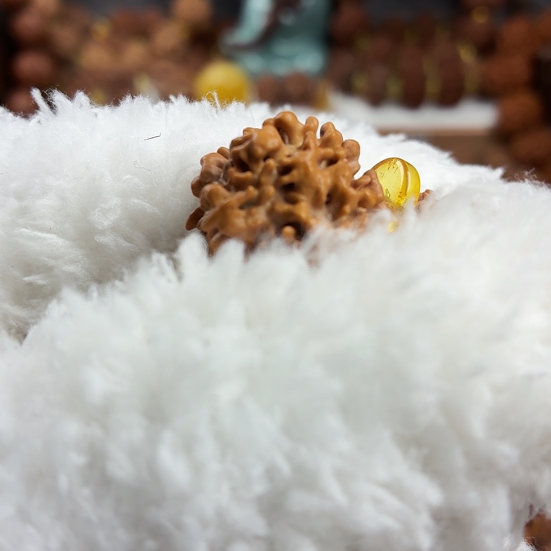 菩***台吊坠金刚菩提原生态0瓣
