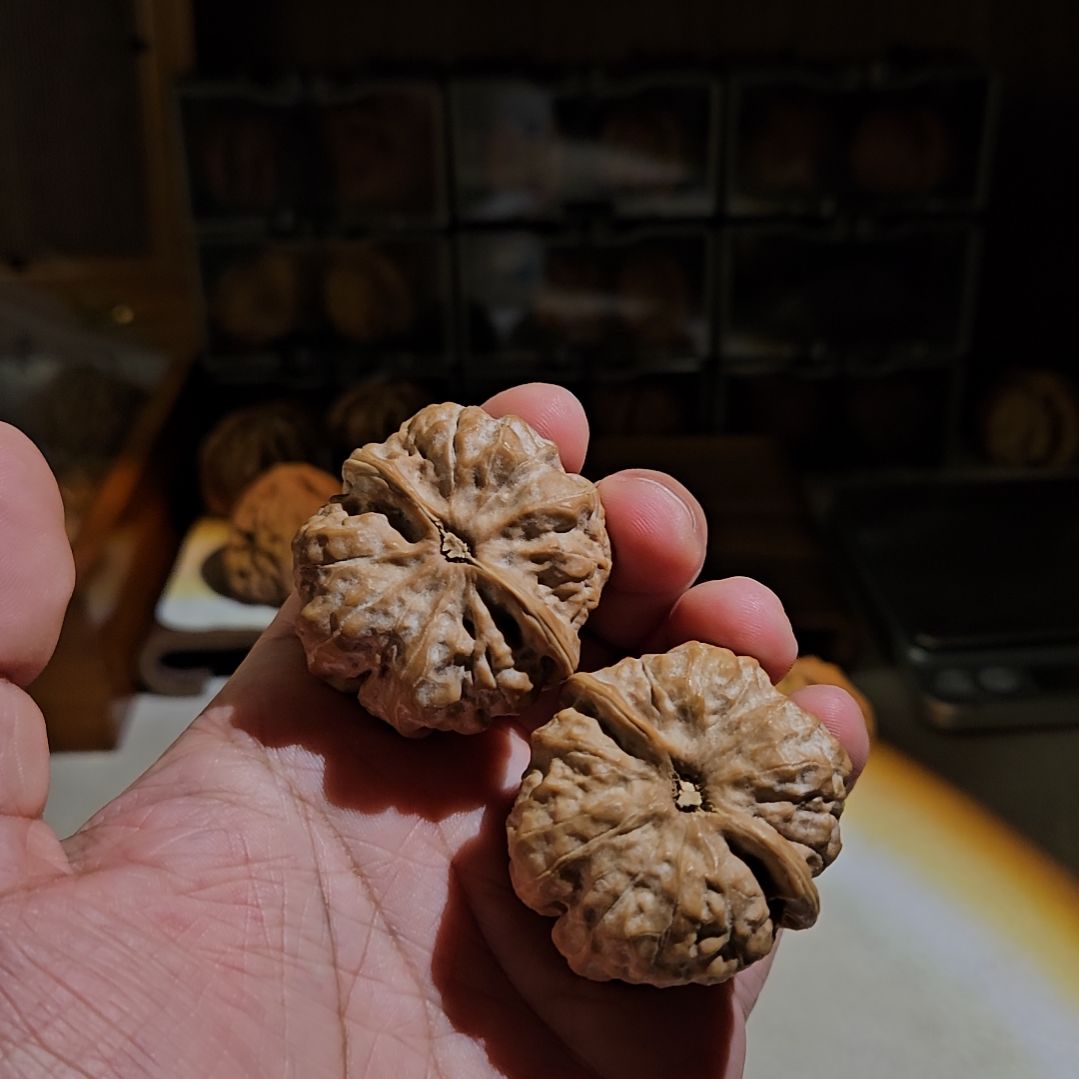 把件文玩核桃A****张HS801