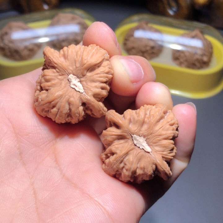 文玩核桃把件31红宝石