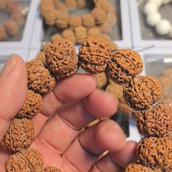 毛***豆金刚菩提手串六瓣大金刚手串，22左右，原皮原色