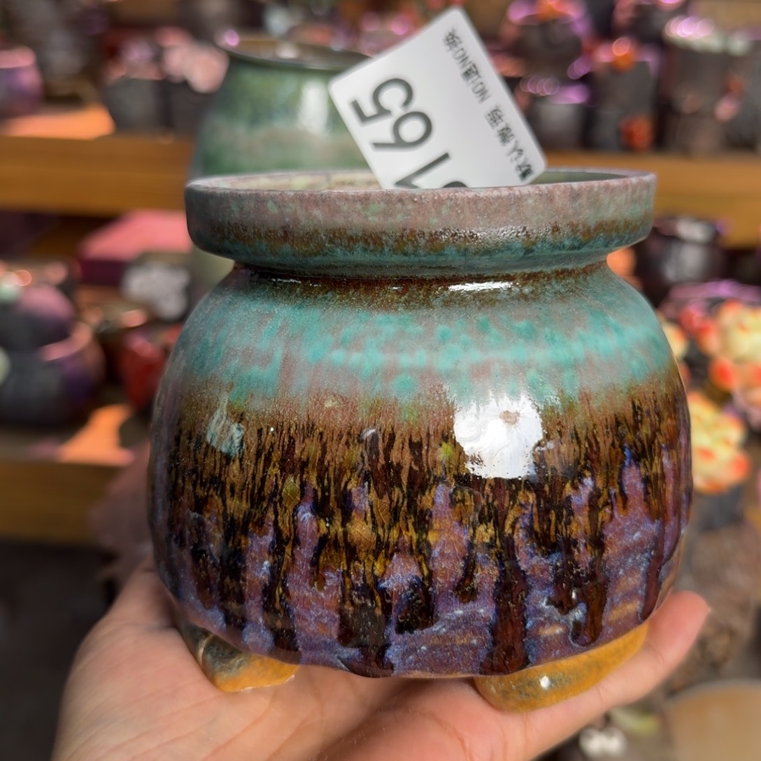 重庆小燕子欢迎大家165