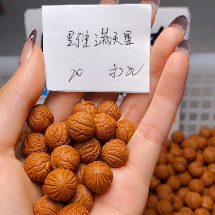 手串桃核12mm左右野生满天星20颗（打孔）