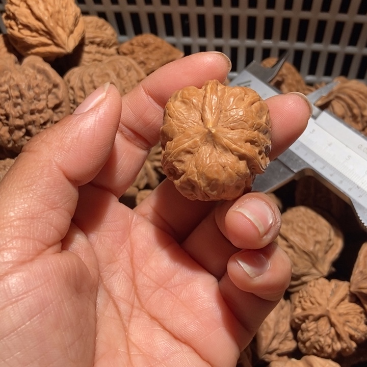 b***2核桃蛤蟆头三棱尺寸36小黄尖