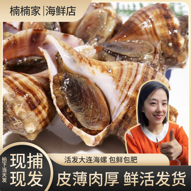 大连当地大海螺【香螺】北京天津黑吉辽顺丰包邮保鲜不保活新鲜鲜活