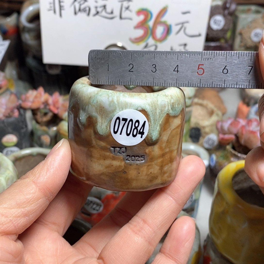 花盆拍3送一个小礼物