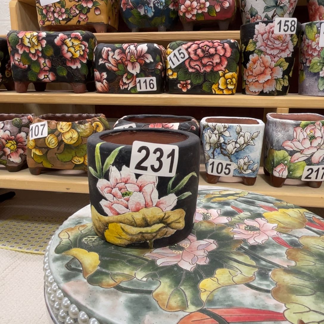 *****扶泥1个手绘多肉花盆