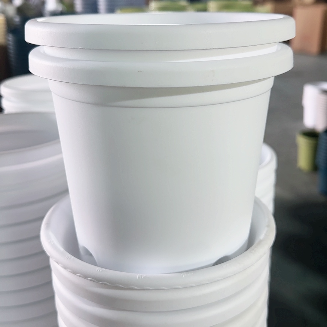 树脂四季2#无拖纯白12个