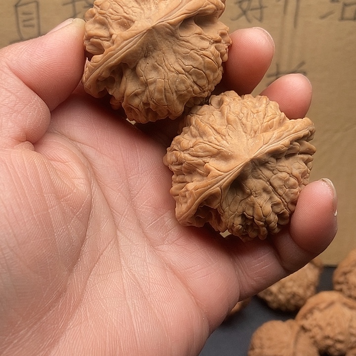 精***人大大大大大大大官帽