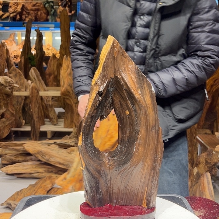 松木（琥珀木）真**性