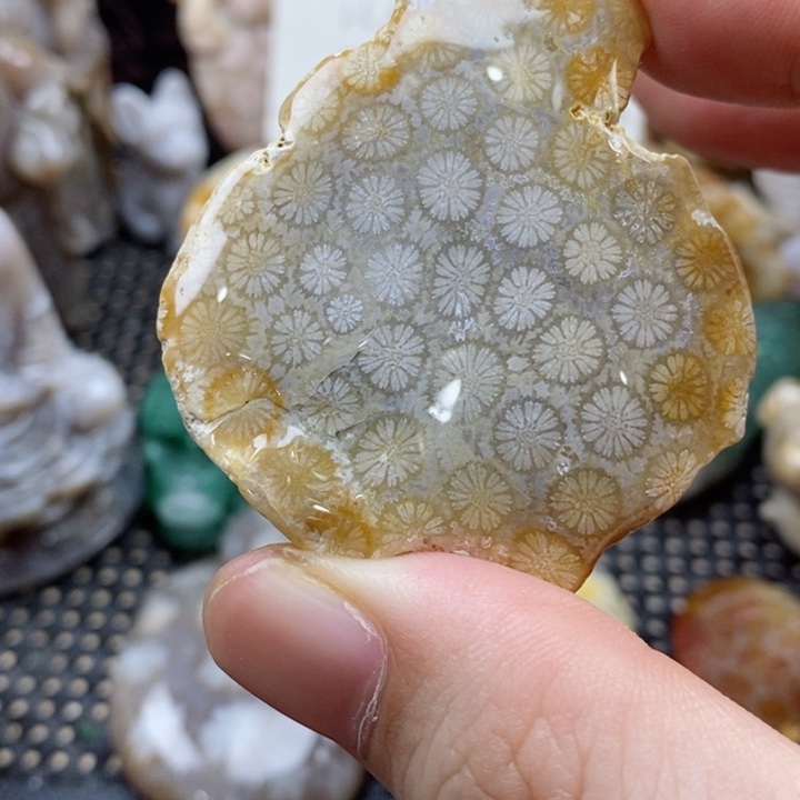 硅化珊瑚（珊瑚玉）颈饰未镶嵌