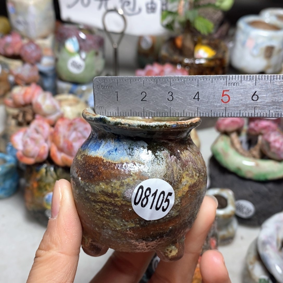 花盆拍3送一个小礼物