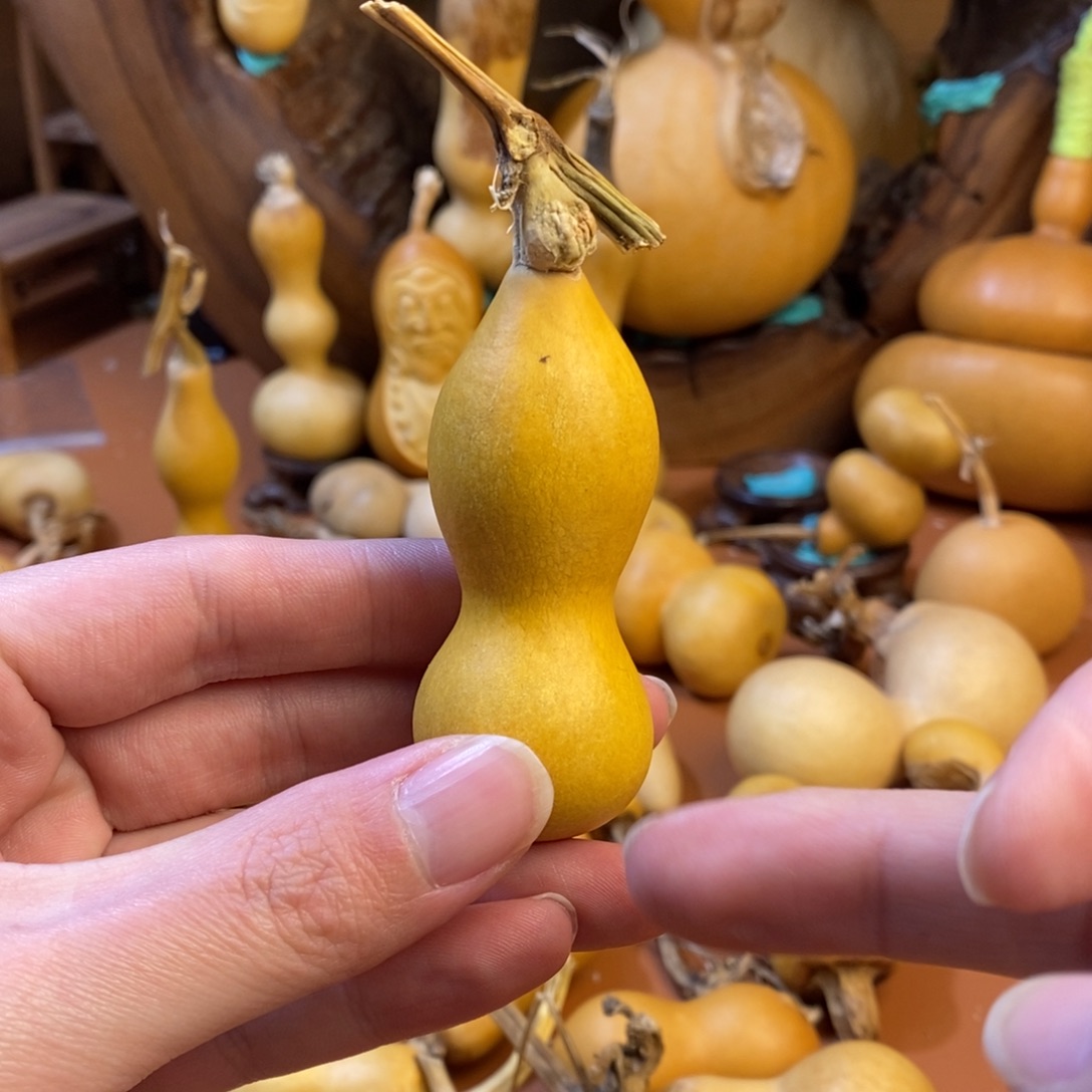 我***ꪝ教练教练教练教练教练教练