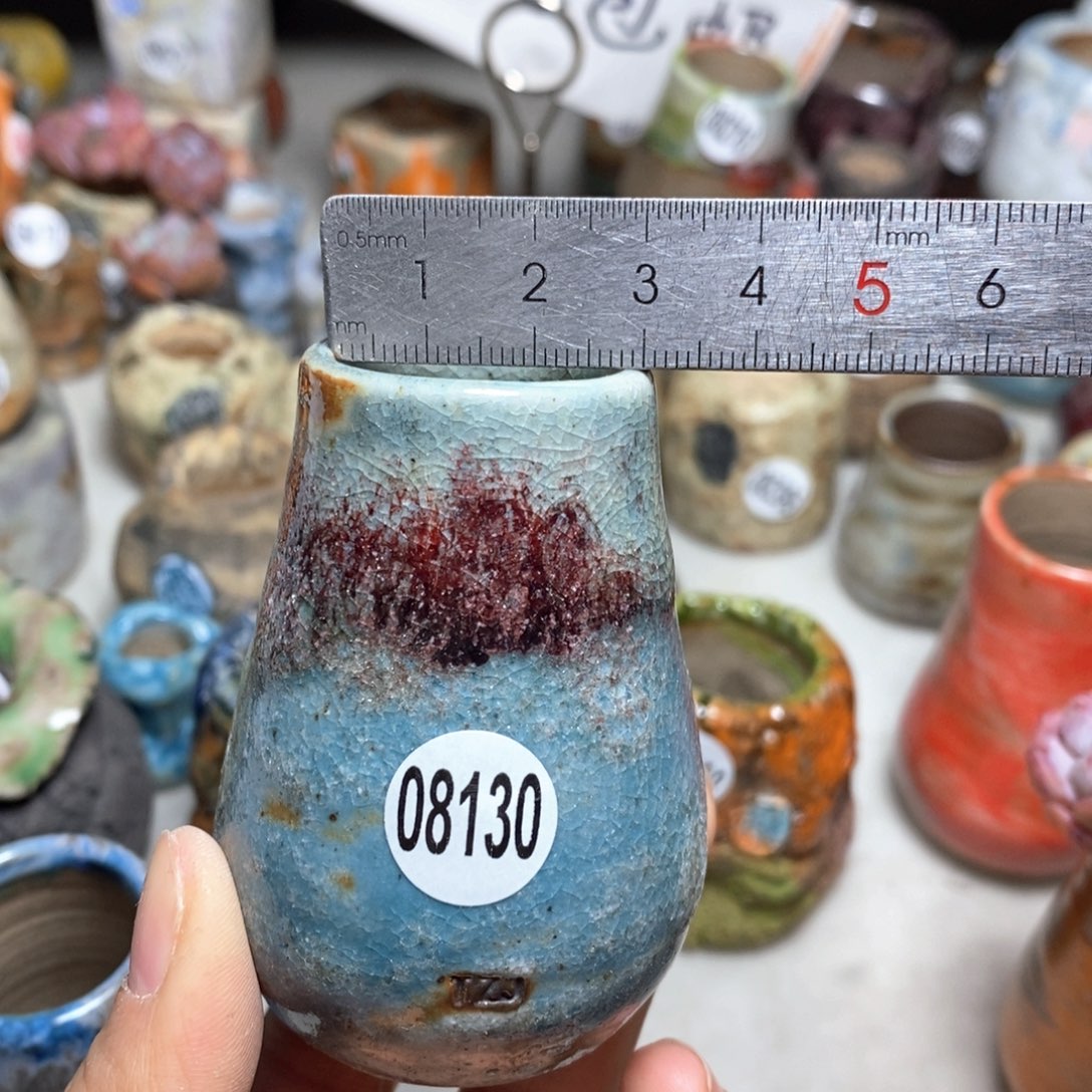 就**末花盆拍5送一个小礼物