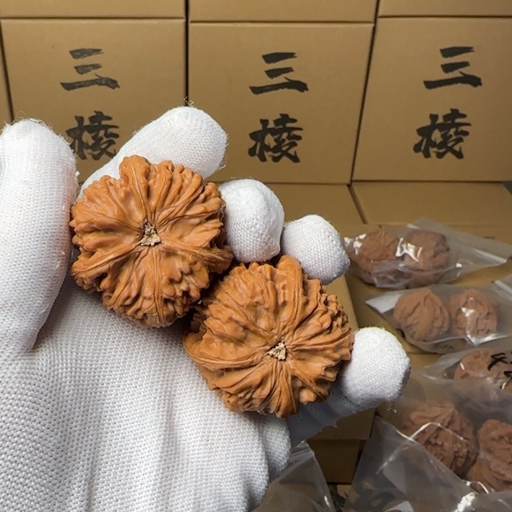 文玩核桃吊坠№*简单包装玉龙三棱