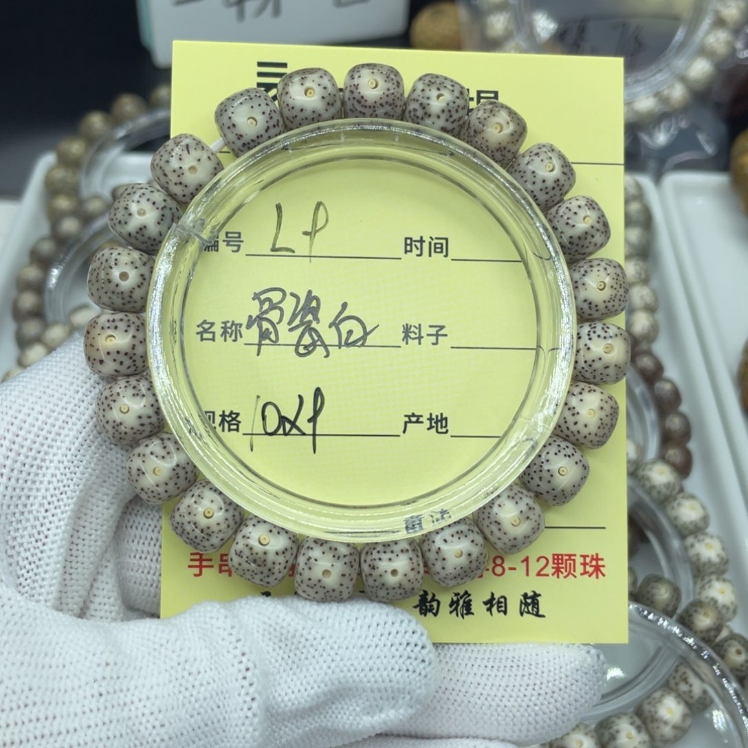 菩提籽类L骨瓷白，