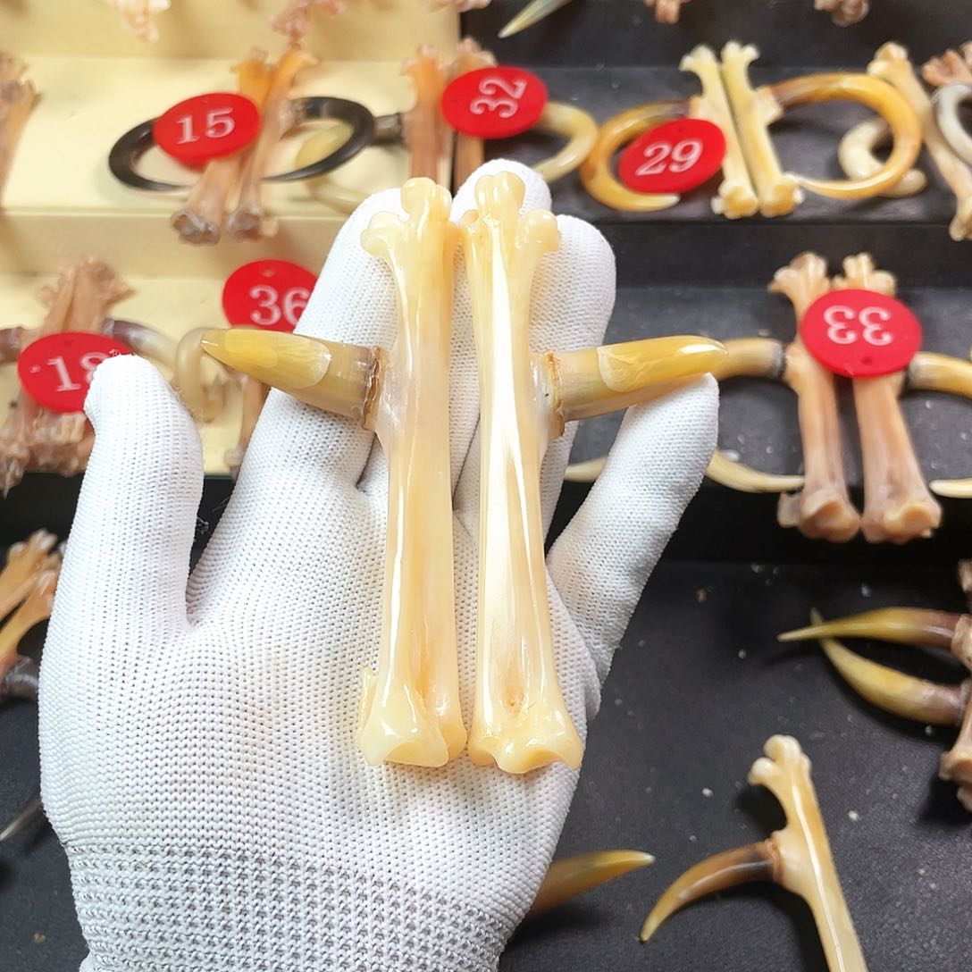 鸡骨（鸡脚）手串/手链手把件