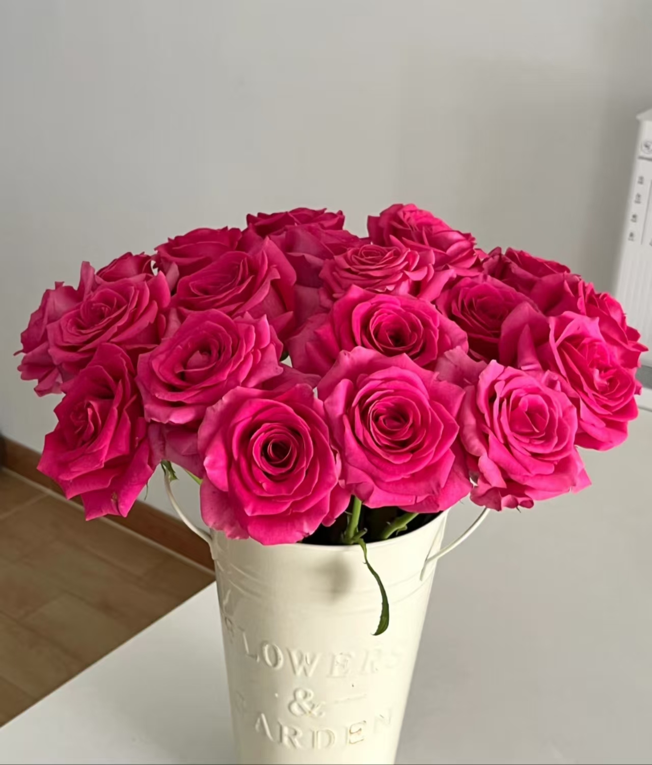 【弗洛伊德 10支】拍两单升级顺丰冷链/德邦空运