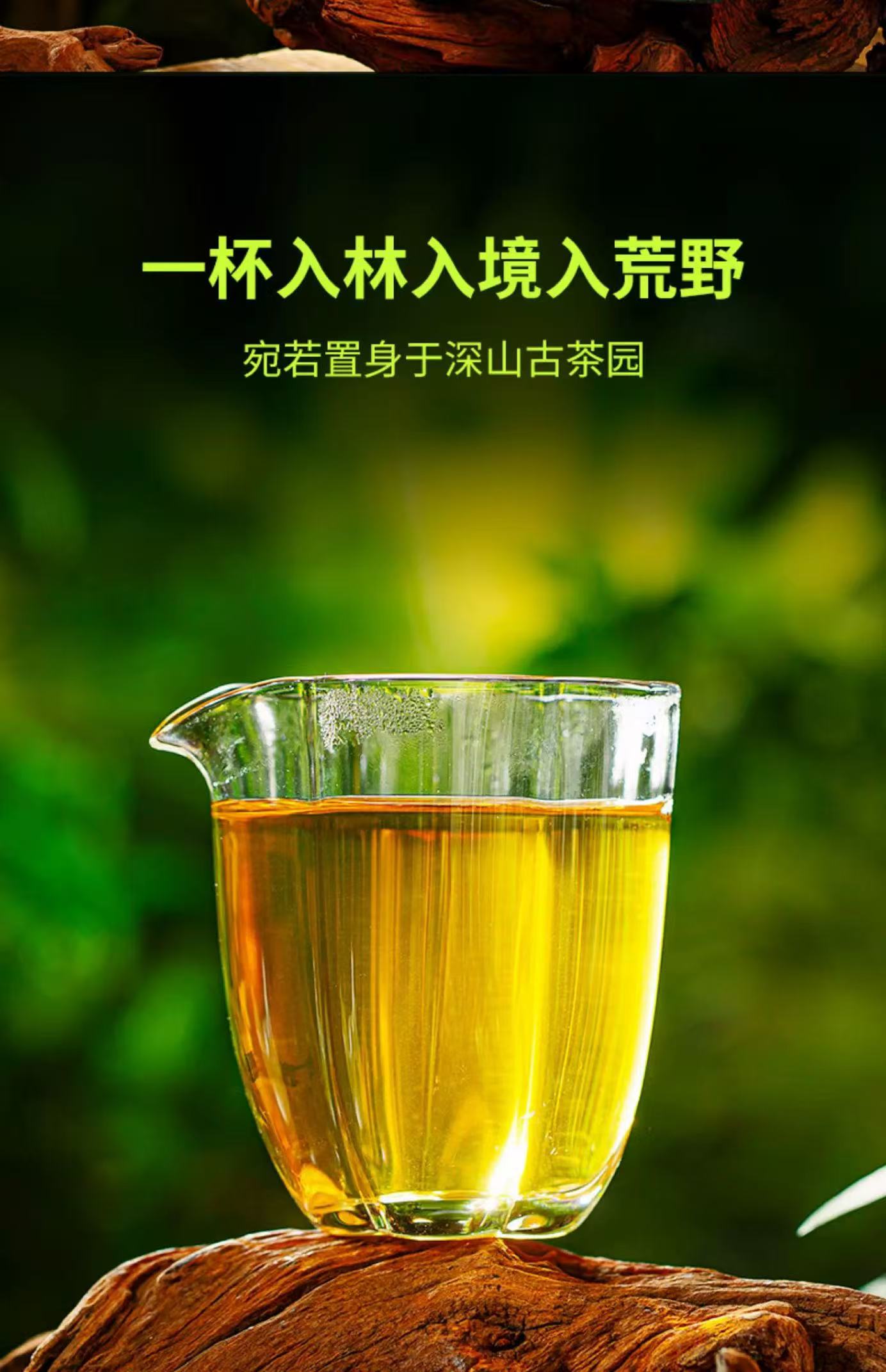 澜沧古茶砂本源系列