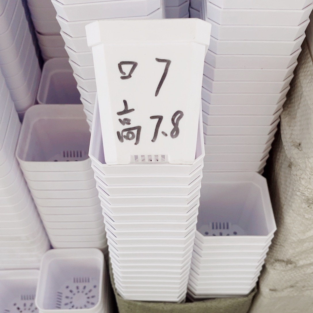 塑料加厚斜角款7方白色盆25个无托