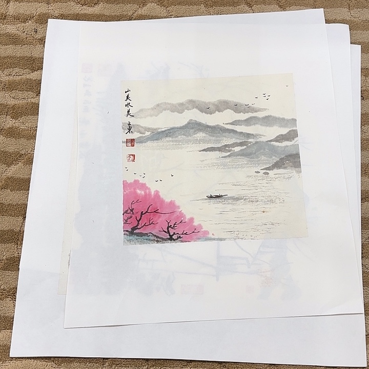 国画花鸟的翅膀是白色和25.25